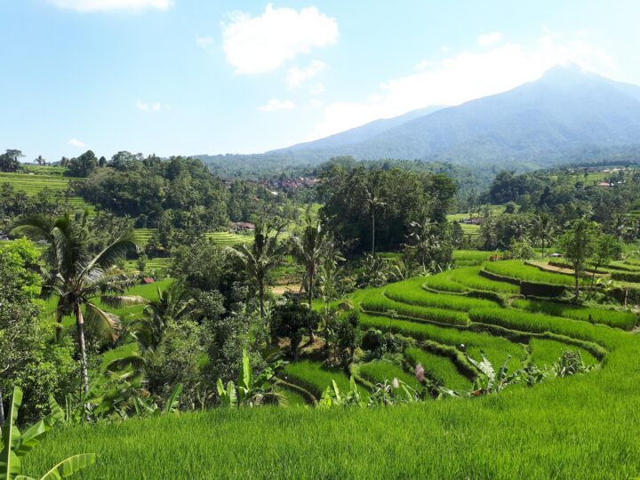 What Bali Taught Me (That I Already Knew But Needed to Remember)